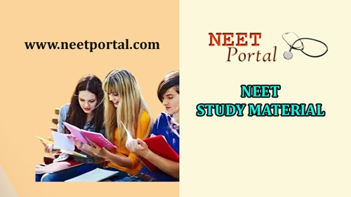 UG NEET Previous Year Question Papers 2021