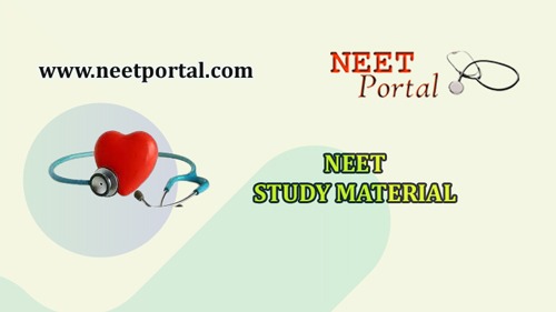 NEET 11th Std Physics Study Material